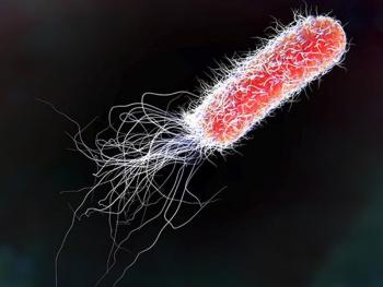 Những loài vi khuẩn trong nước cực kỳ nguy hiểm